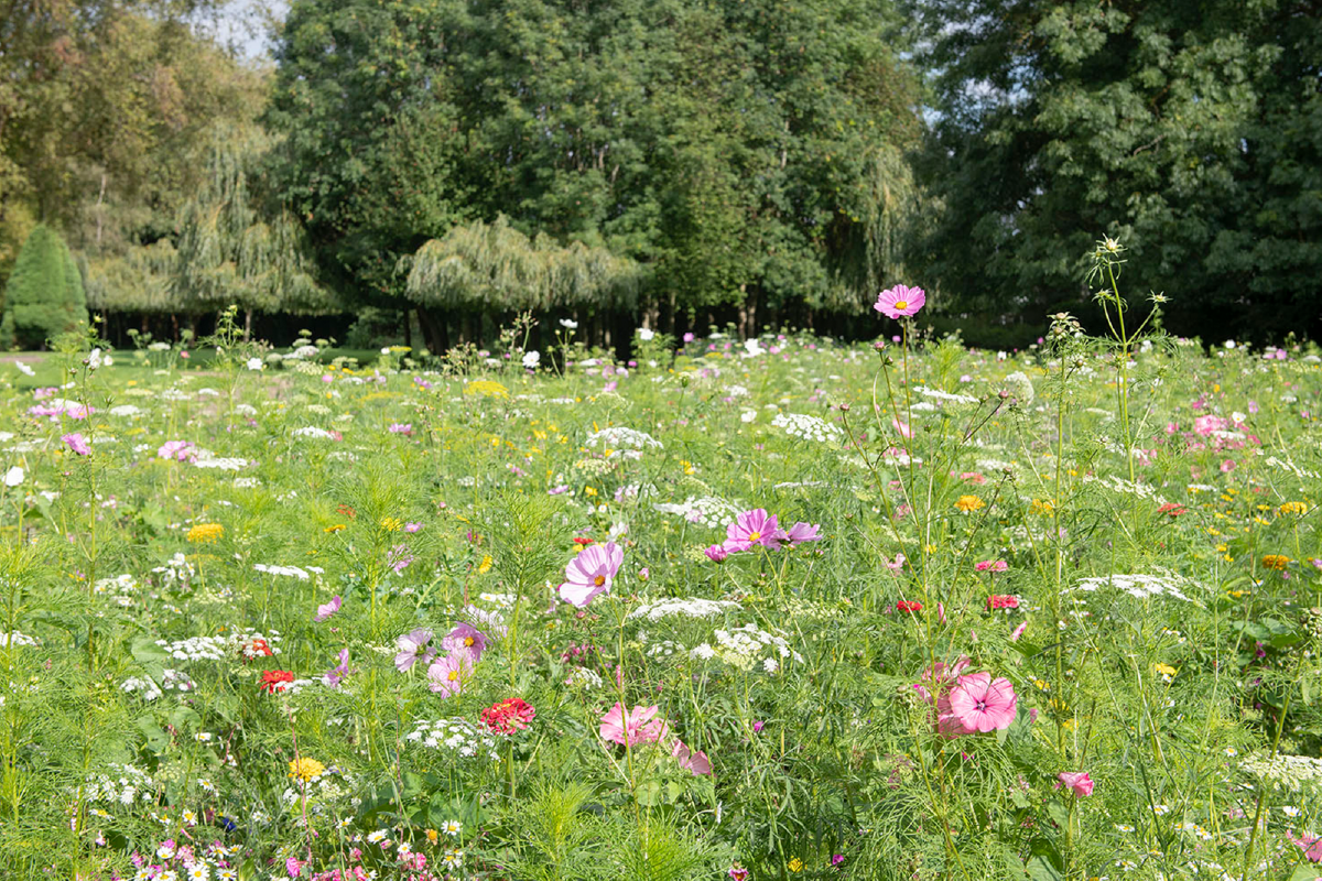 Sustainable events in Brighouse.